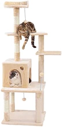 Wyfdp gato gatinho arranhando a árvore de posta
