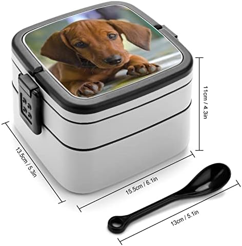 Dachshund marrom fofo engraçado tudo em um recipiente de almoço de caixa bento com colher para viagens de trabalho piquenique