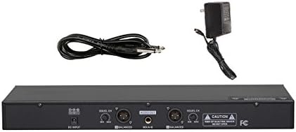 GTD Audio 2x100 canal selecionável UHF Microfone sem fio Karaoke Mic System 622HL