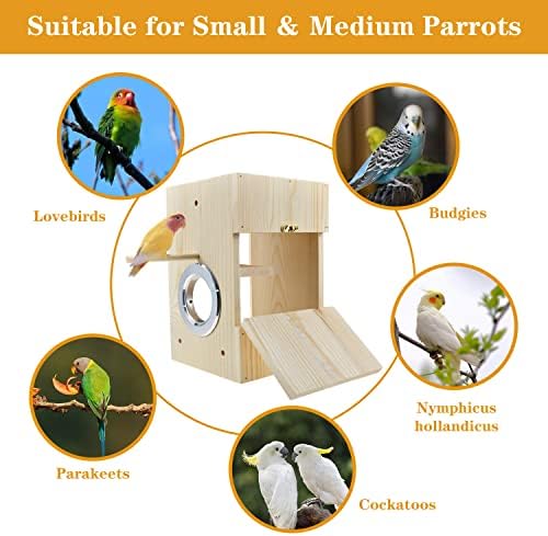 Cooshou Bird Nest Box Permeteet Reproding Box Box Bird Nest House Casa de Criação Transparente de Acrílico para Finch