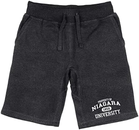 NIAGARA University Purple Eagles Property College Fleece Shorts de cordão
