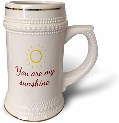 Imagem 3drose de um sol com texto de você é meu sol - 22oz de caneca de Stein