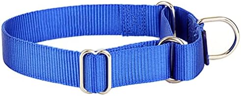 Alainzeo Martingale Dog Collar, Nylon Dog Collar, azul, médio
