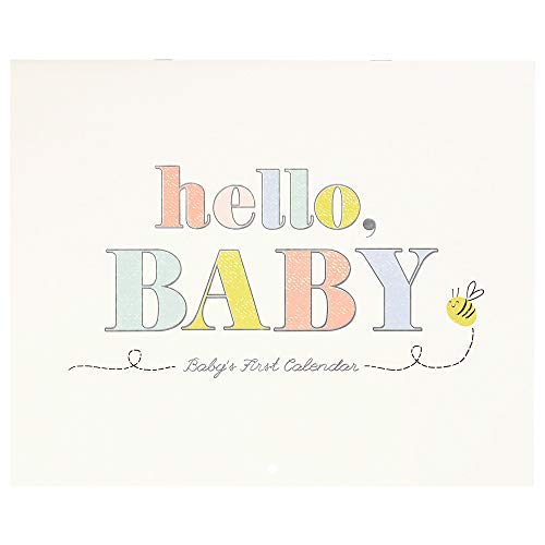 C.R. Gibson BA3-22584 '' Hello Baby '' Calendário de bebê no primeiro ano de gênero, 11 '' W x 18 '' H