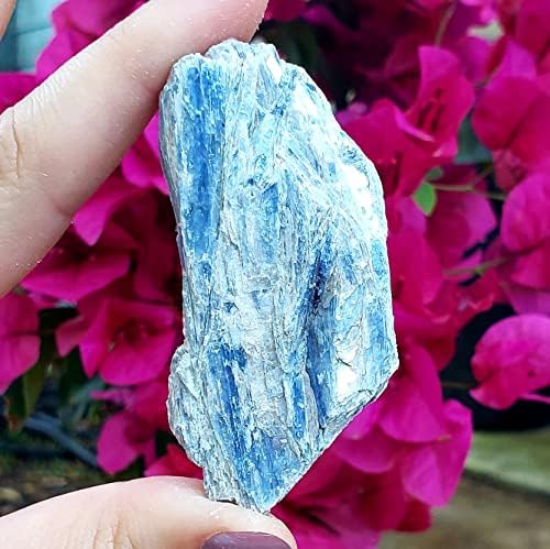 Kianita azul do Brasil Um cluster classificado Drruzy Bruz Natural Cristal Rough Cristal Gemstone Amospimen - Mãe Terra Stone PC2