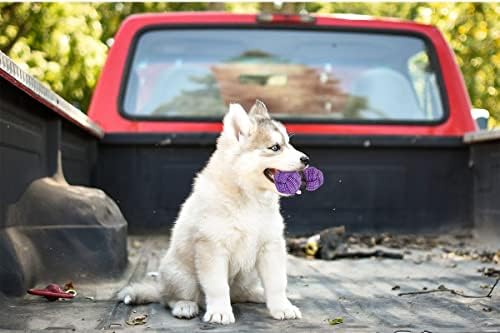 Crazy Tails Dog Chew Rode Toy for All Puppy raça brinquedos de cachorros para dentar cães pequenos de dentição com chifre