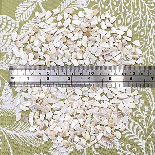 Yew & Tulip Natural Crushed Chips, 64 oz de fragmentos de mosaico de pérolas para artesanato, decoração em casa, preenchimento