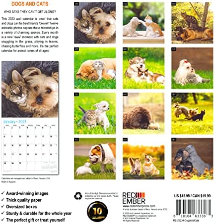 Cães e gatos vermelhos de brasa 2023 Calendário mensal de parede Hangável | 12 x 24 aberto | Papel grosso e resistente | Presente |