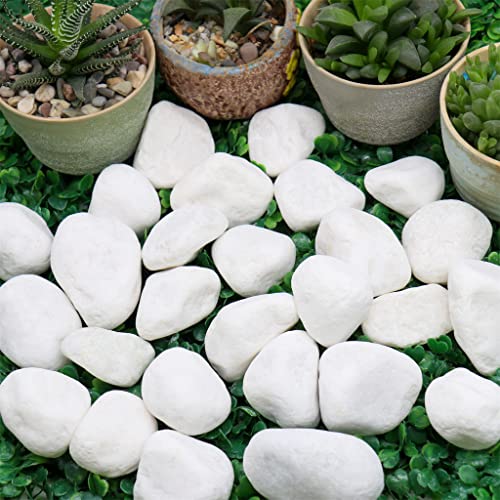 Rochas brancas a granel 1 ” - 2” polegada, 30 lb. de seixos de pedra não polidos naturais para plantas, jardins, pintura