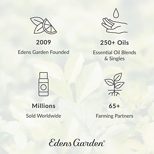 Edens Garden Scar Scare Ophe Oil Blend, Melhor para cicatrizes, queimaduras e estrias, Pure & Natural Premium Melhor