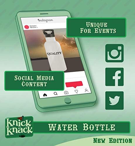 Presentes de Knick Knack Invisible - 20 onças de aço inoxidável garrafa de água, prata