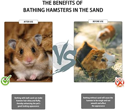 3 PCs Hamster Bath Bath Set, banheira de areia de pequeno animal acrílico com tampa de madeira natural, com areia e areia