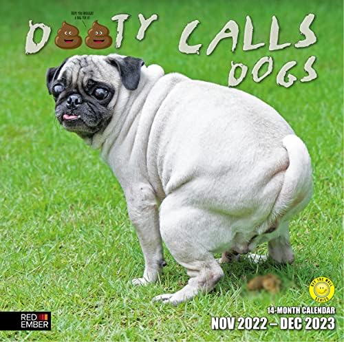 Presente de Gag Funny Funny Gag dooty chama cães 2023 Handsable Monthly Wall Calendário cocô cocô de cocô | 12 x 24